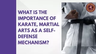 What Is The Importance Of Karate, Martial Arts as a Self-Defense Mechanism?