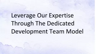 Leverage Our Expertise Through The Dedicated Development Team Model