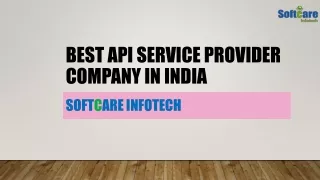 Top Government Service API Provider Company