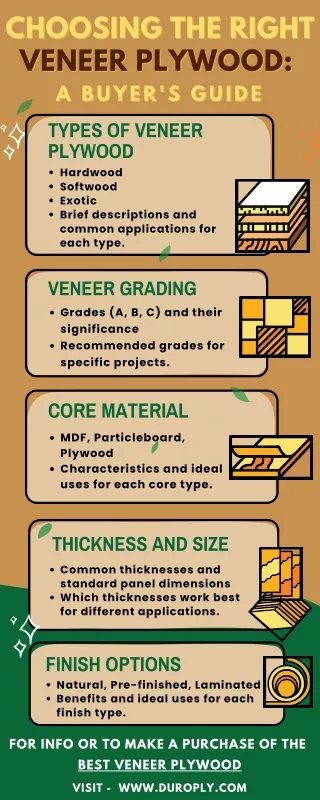 Choosing the Right Veneer Plywood  A Buyer's Guide