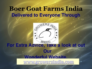 Boer Goat Farms India