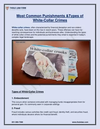 Most Common Punishments & Types of White-Collar Crimes