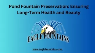 Pond Fountain Preservation Ensuring Long-Term Health and Beauty