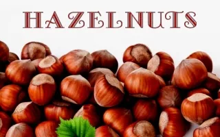 Liskove orisky - Hazelnuts (Judith)