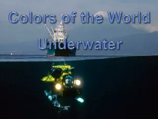 Barvy sveta: Pod vodou - Colors of the World: Underwater (Olga E.)