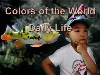 Barvy sveta: Denni zivot - Colors of the World: Daily Life (Olga E.)