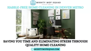 Maids in Denver, CO | Mighty Mop Squad