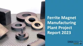 Ferrite Magnet Manufacturing Plant Project Report 2023