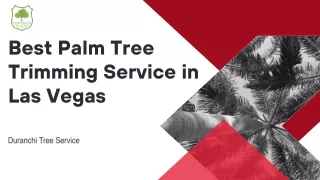 Best Palm Tree Trimming Service in Las Vegas