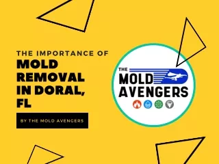 The Importance of Doral, FL Mould Removal