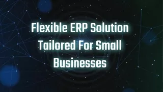 Flexible ERP Solution Tailored For Small Businesses