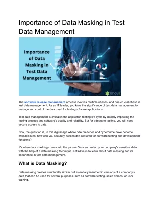 Importance of Data Masking in Test Data Management