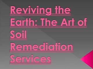 Reviving the Earth: The Art of Soil Remediation Services