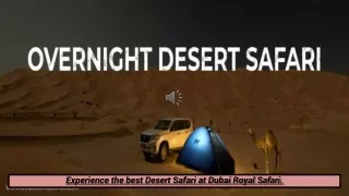 Experience the best Desert Safari at Dubai Royal Safari