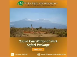 Embark on an Unforgettable Journey with the Ultimate Tsavo East National Park