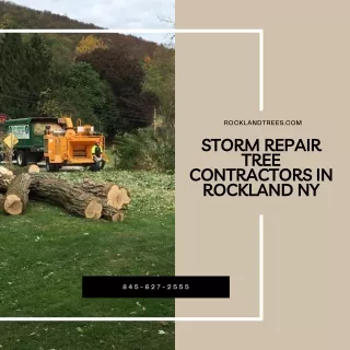 Storm Repair Tree Contractors in Rockland NY