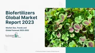 Global Biofertilizers Market Size, Share, And Revenue Analysis 2023-2032