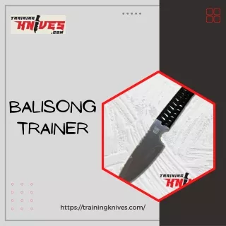 balisong trainer