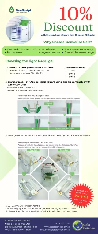 GenScript SurePAGE Precast Gel