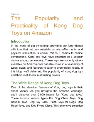 Kong Dog Toys