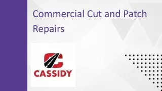 Cassidy Paving: Commercial Cut and Patch Repairs