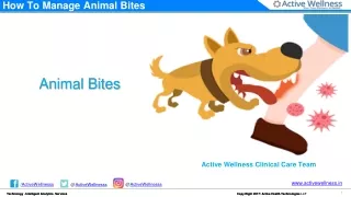 How To Manage Animal Bites