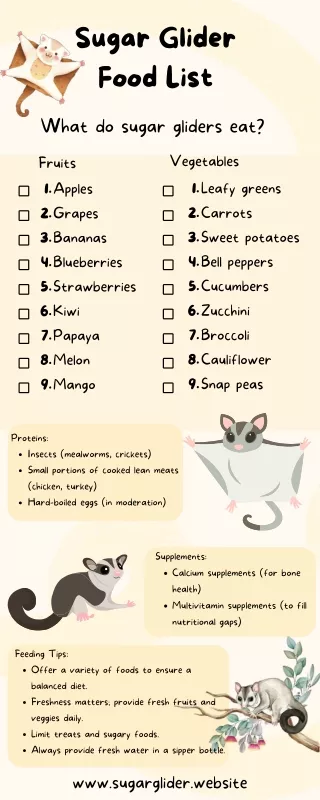 Sugar Glider Food List