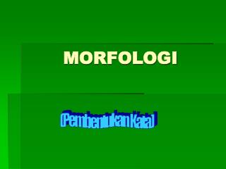 MORFOLOGI