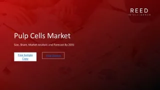 Pulp Cells Market Growth, Overview with Detailed Analysis 2023-2031