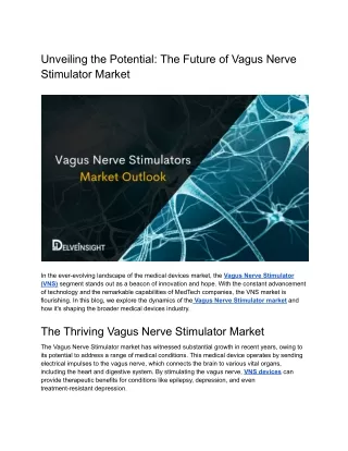 Vagus Nerve Stimulators Market Outlook