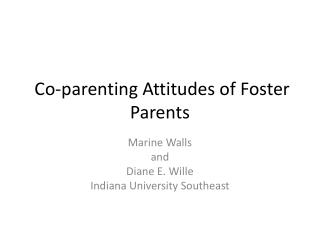 Co-parenting Attitudes of Foster Parents