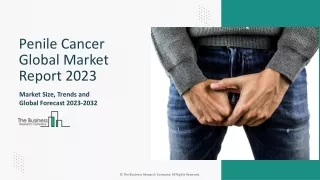 Global Penile Cancer Market Report By Size, Share And Forecast To 2023-2032