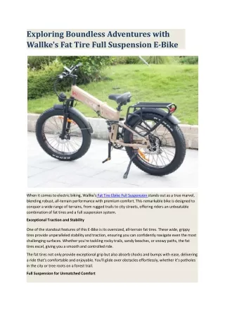 E Bike With Torque Sensor