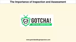 The Importance of Inspection and Assessment