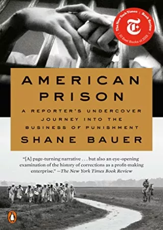 Read PDF  American Prison: A Reporter's Undercover Journey into the Business of Punishment