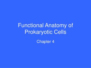 Functional Anatomy of Prokaryotic Cells