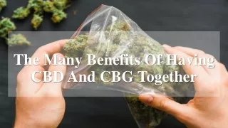 The Many Benefits Of Having CBD And CBG Together