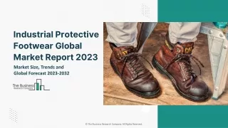 Industrial Protective Footwear Global Market By Product Type, By Application, By Distribution Channel, By Region And Seg