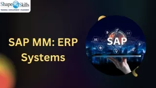 SAP MM ERP Systems