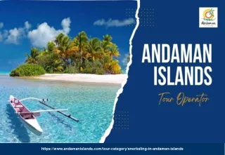 Snorkeling in Andaman Islands