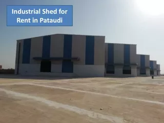 Industrial Shed for Rent in Pataudi