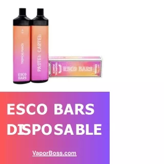 Esco Bars Disposable | Start From $12.99 | 2500 Puffs