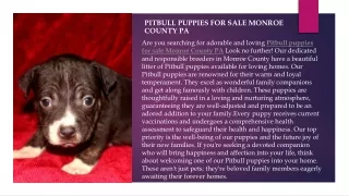 pitbull puppies for sale Monroe county pa.