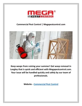 Commercial Pest Control | Megapestcontrol.com