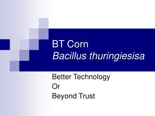 BT Corn Bacillus thuringiesisa