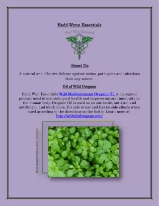 Wild Oregano Extracted Oil