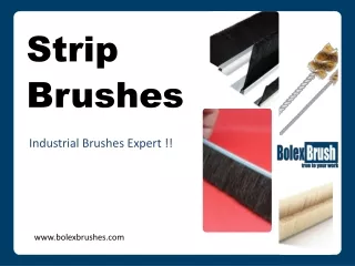 Strip Brushes