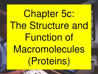 Chapter 5c: The Structure and Function of Macromolecules (Proteins)