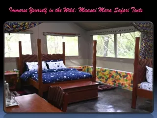 Immerse Yourself in the Wild Maasai Mara Safari Tents