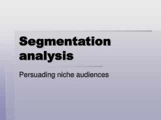 Segmentation analysis